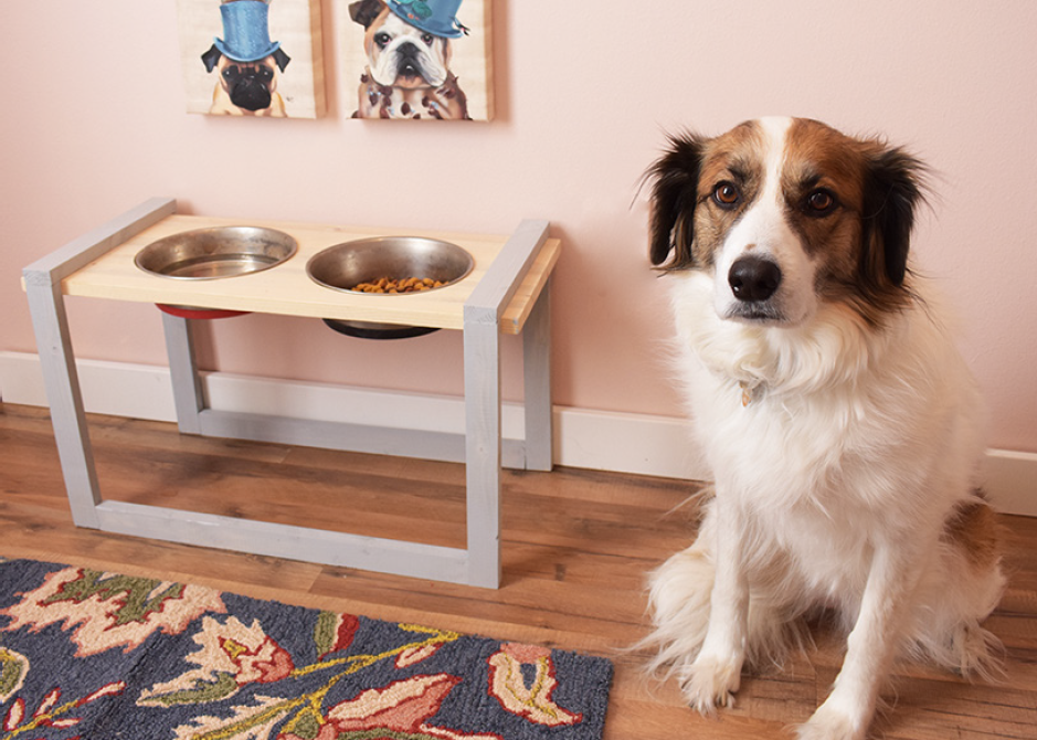 DIY Modern Dog Food Bowl Stand