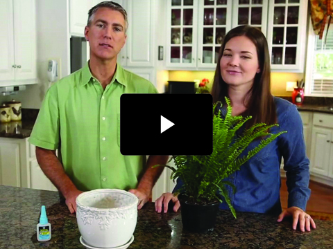 The Perfect Fix For All Of Your Common (And Not So Common) Household Repairs Rapidfuse