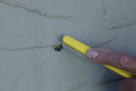 clean the surface