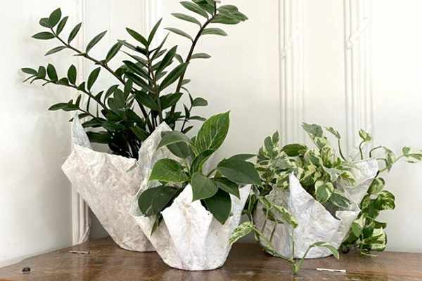 plaster of paris planters