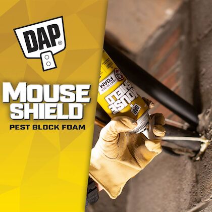 Mouse Shield Foam Sealant & Blocker